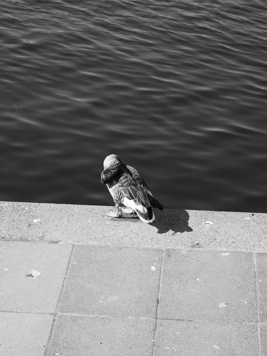Studio Masterpiece